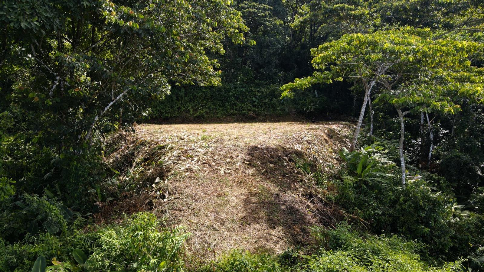 4.2 Acre Lot for Sale in Costa Verde Estates, Escaleras, Puntarenas, Costa Rica — photo 4