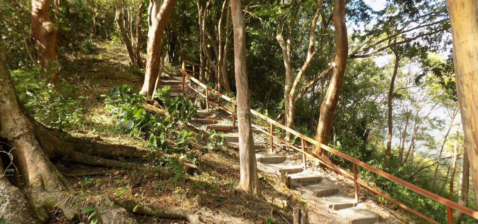 9.87 Acres of Development Land for Sale, Soufriere, St Lucia — photo 5