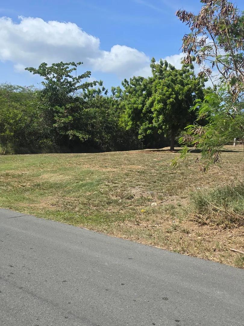 0.5 Acre Homesite Lot in Frederiksted — photo 5