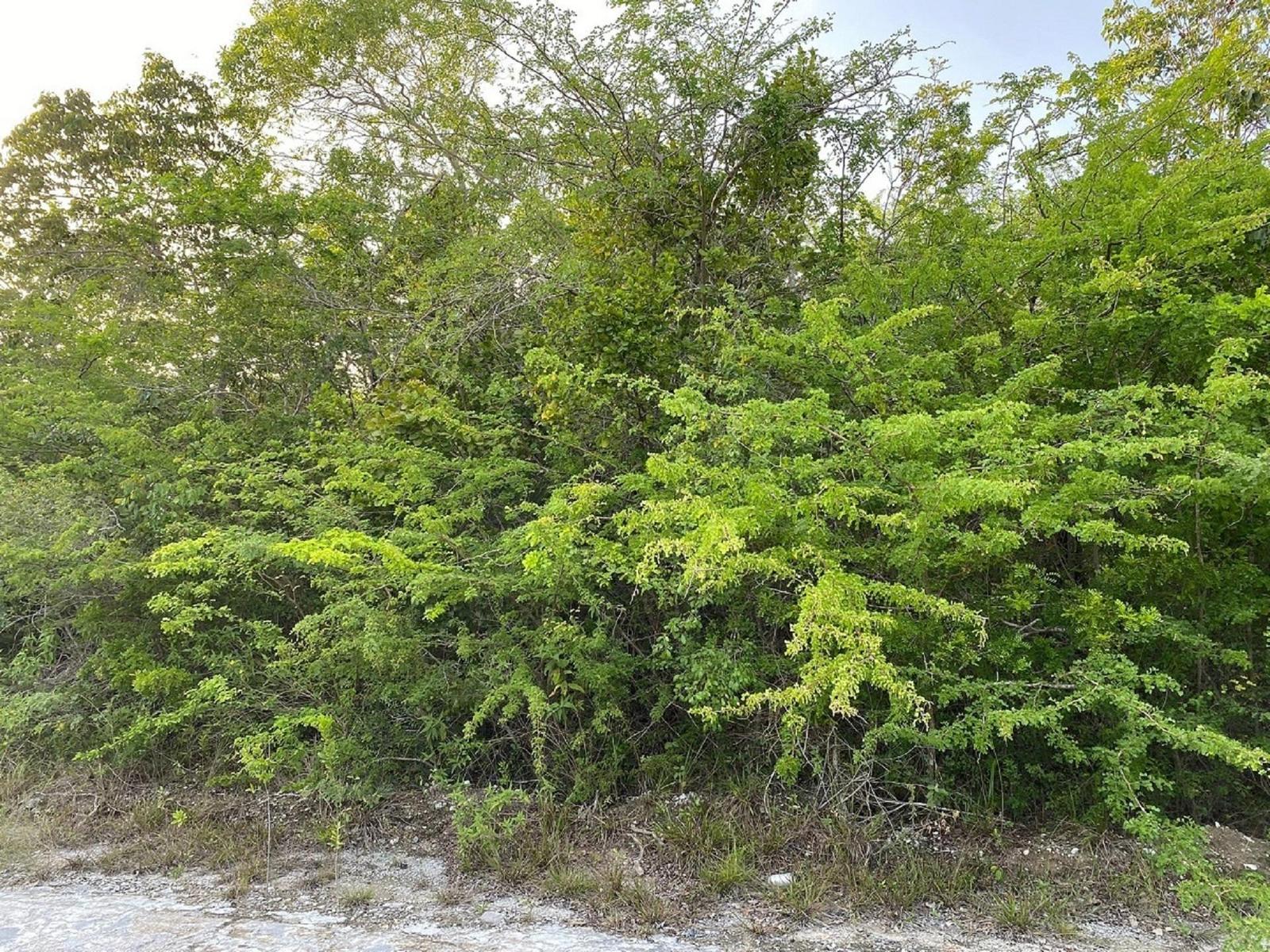 LOT 7693M BAHAMA SOUND 11 — photo 3