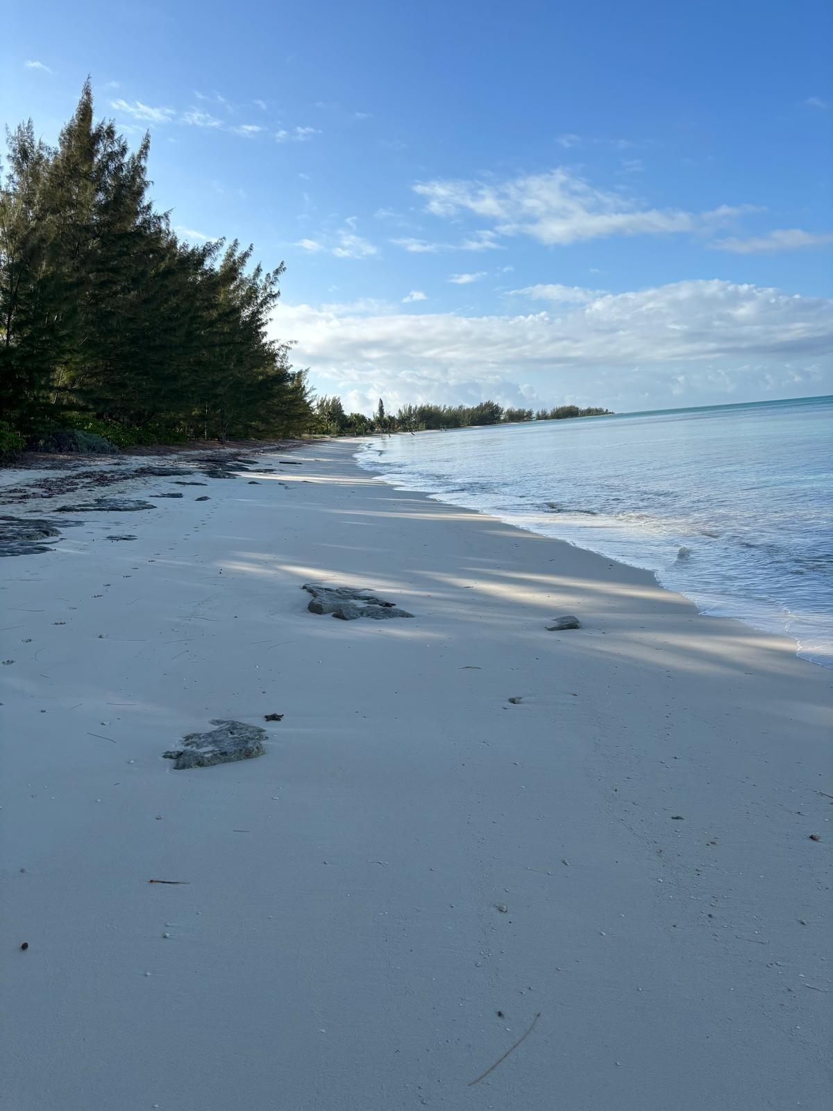 3 bedroom Residence for sale — 5 ACRES IN SANDY POINT, A in Abaco Islands, The Bahamas — photo 2