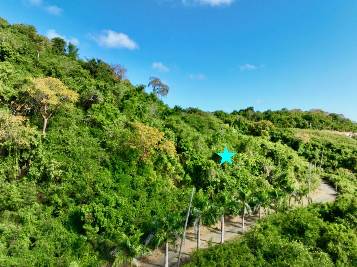 0.93 Acre Homesite in St. Croix — photo 4