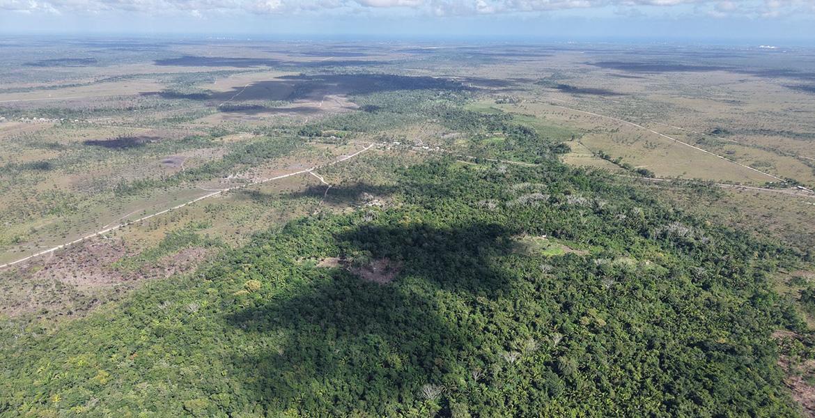 43 Acres of Lush Jungle near Red Bank — photo 4