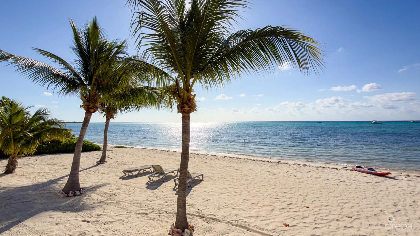Beachfront Condo The Club Little Cayman — photo 2