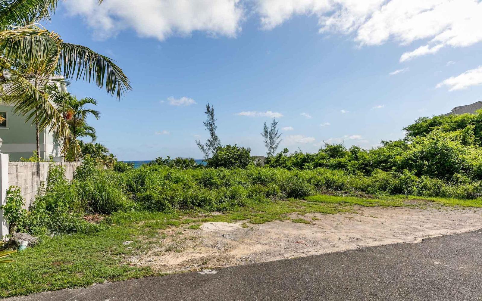 LOT 11, INDIGO SUBD. in Nassau / New Providence, The Bahamas — photo 5