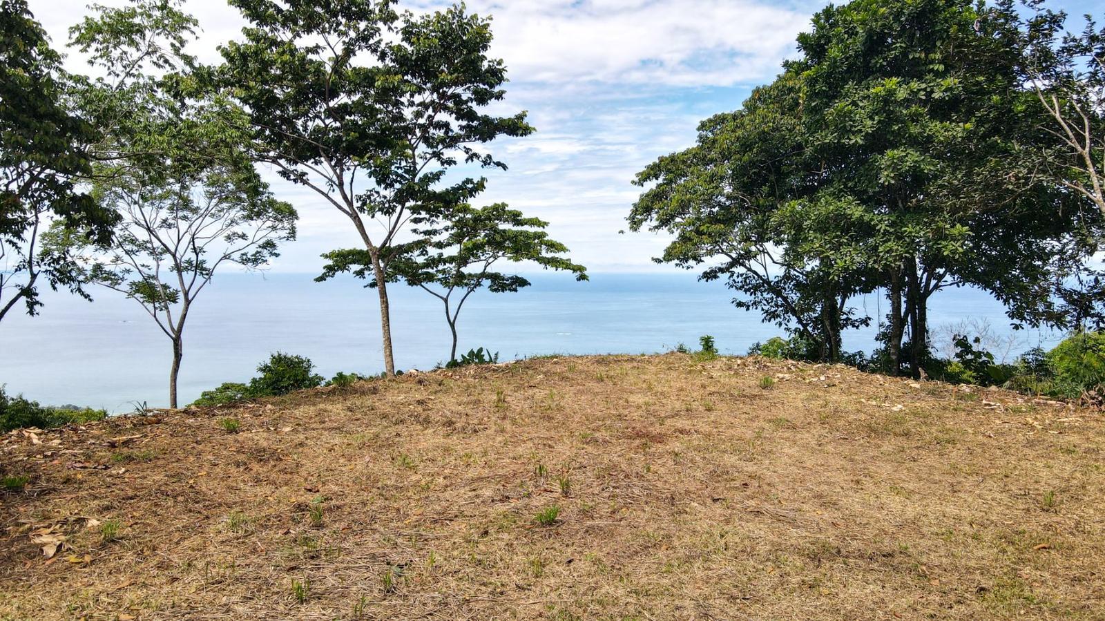 4.2 Acre Lot for Sale in Costa Verde Estates, Escaleras, Puntarenas, Costa Rica — photo 2