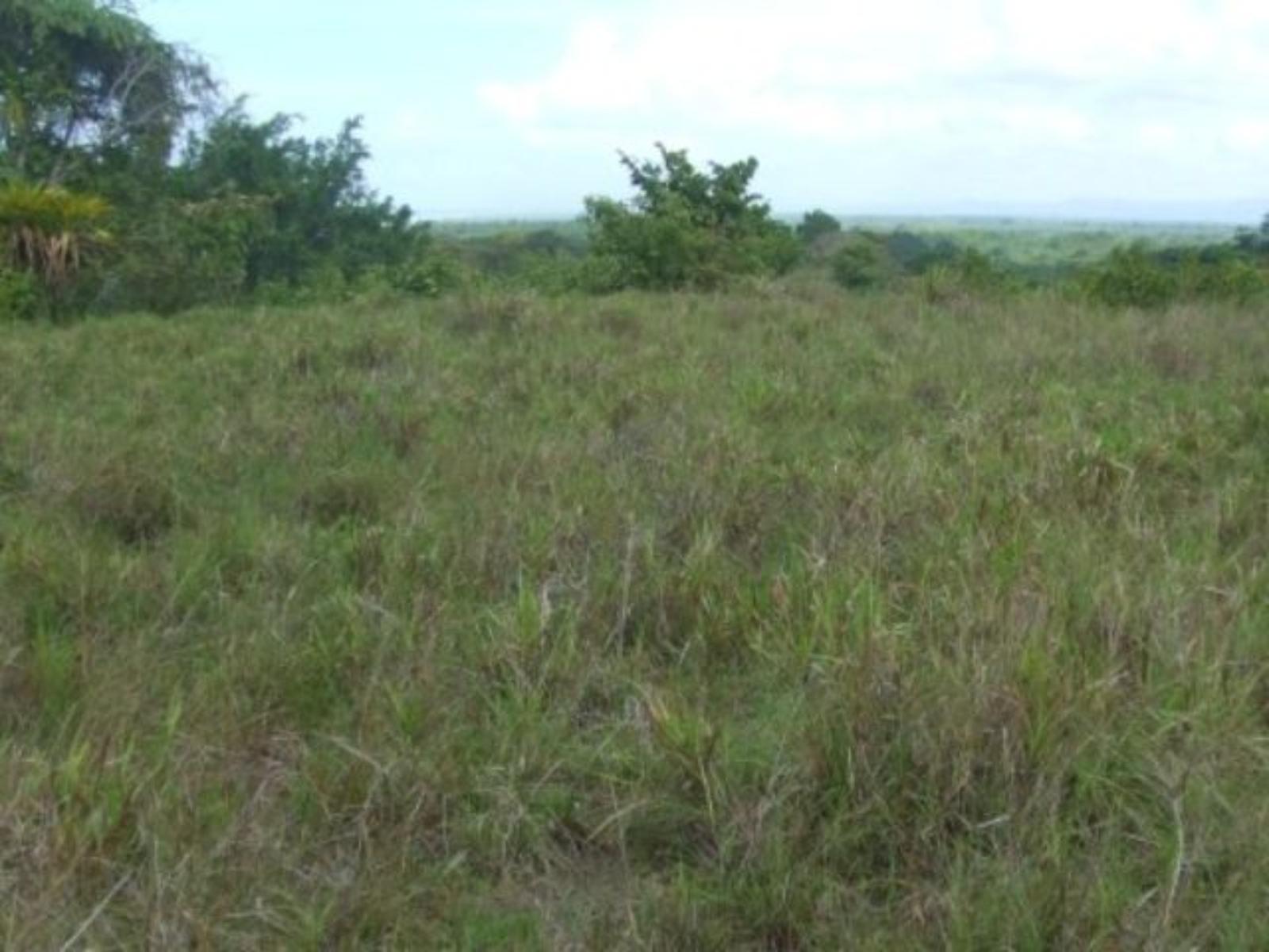 61 Acres of Development Land for Sale in Quepos, Puntarenas, Costa Rica — photo 5