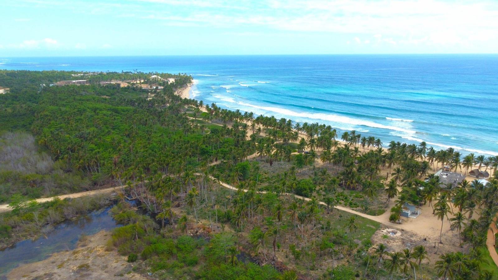 Beach Land For Hotel Development In Uvero Alto Bavaro — photo 3