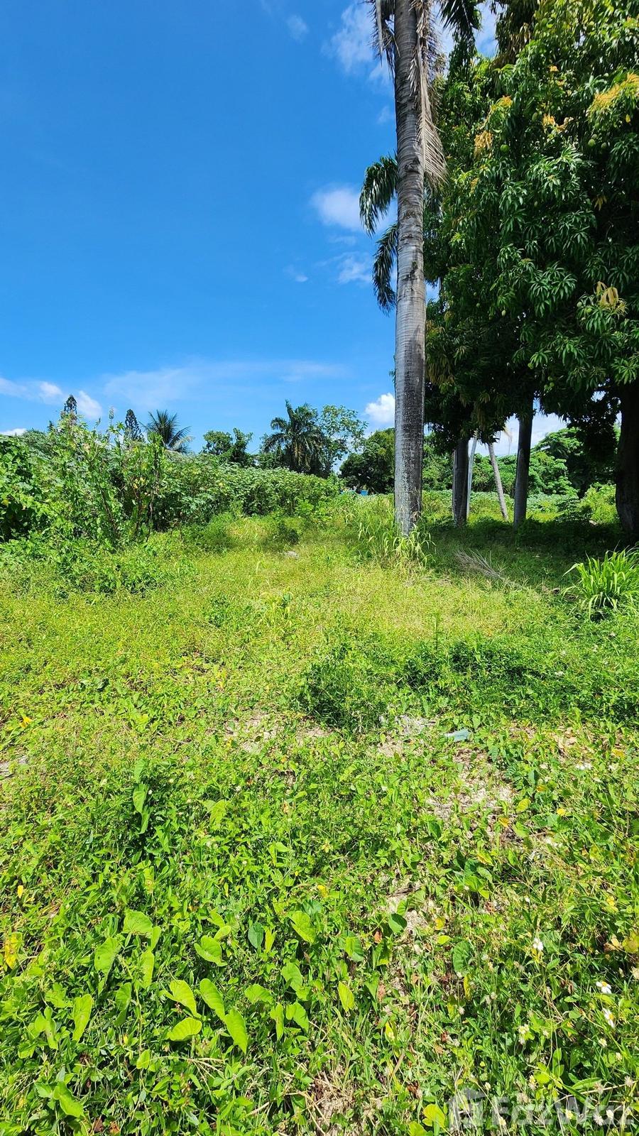 2000 SqM Land Plot for Sale in San Felipe De Puerto Plata — photo 5