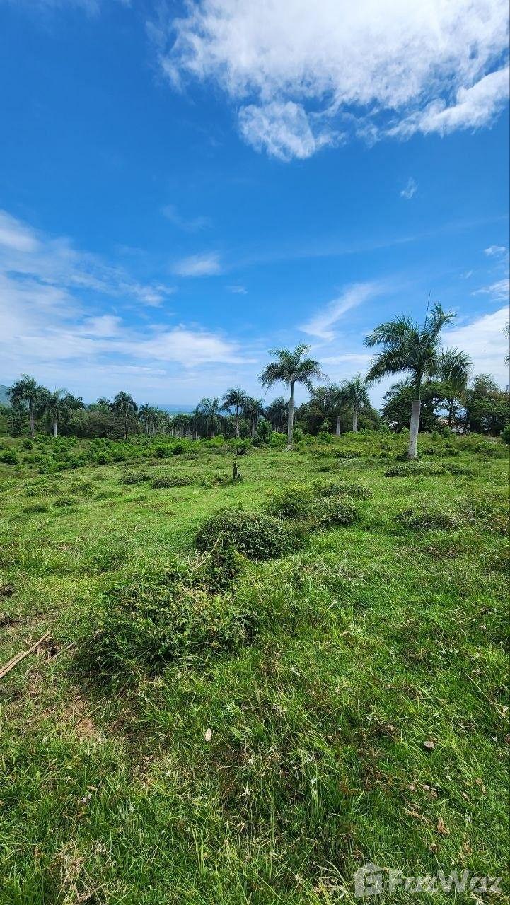 10,000 SqM Land Plot for Sale in San Felipe De Puerto Plata, Dominican Republic — photo 5