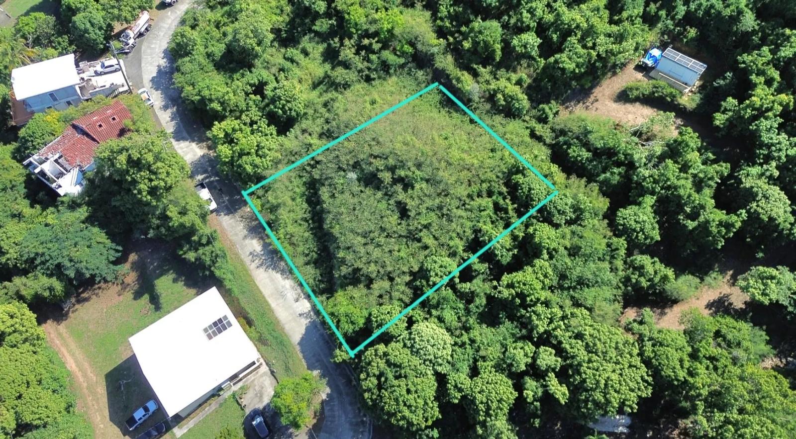 0.25 Acre Homesite Lot in St. Croix — photo 4
