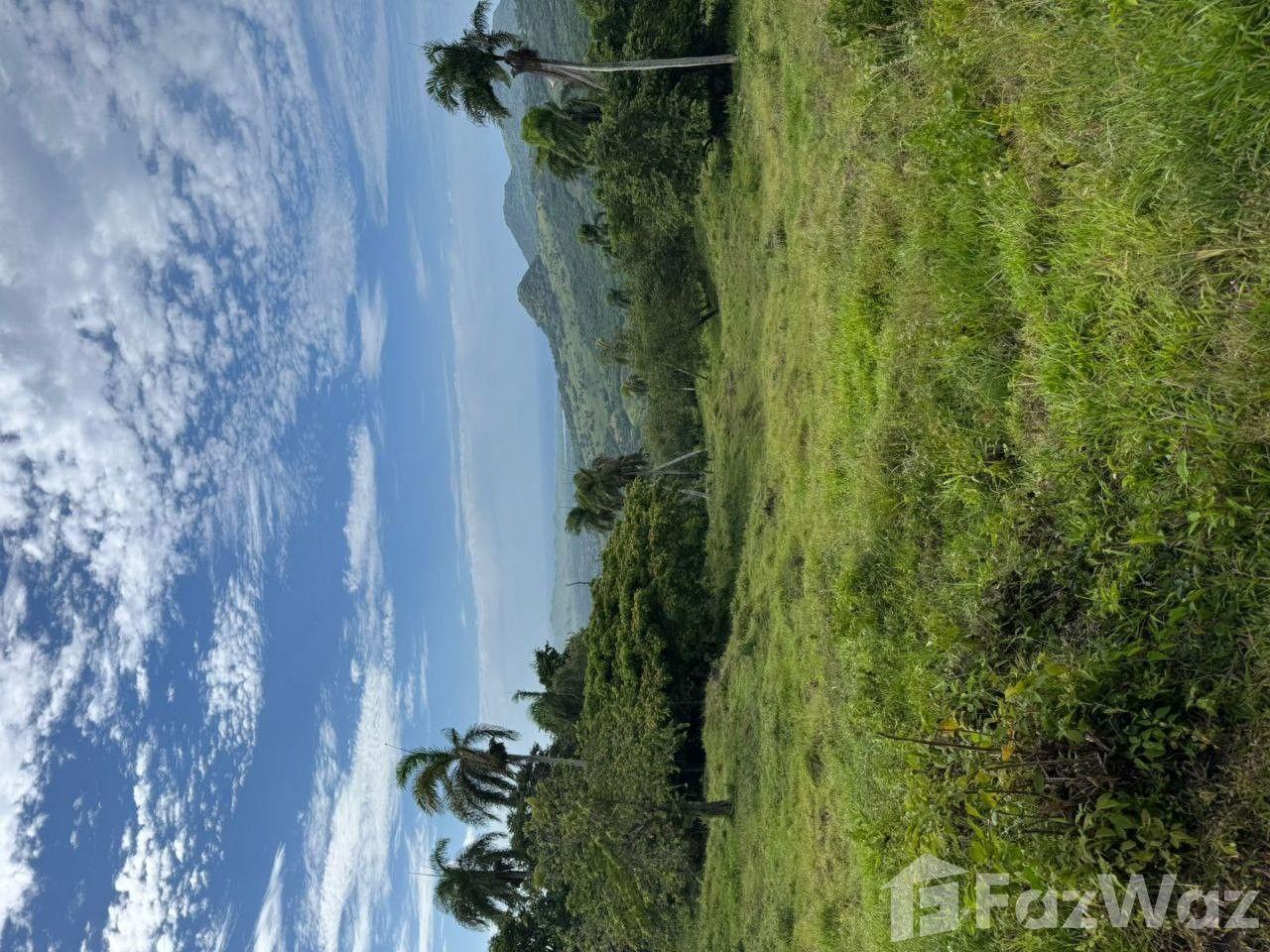 Ecological Paradise Land Plot in San Felipe De Puerto Plata — photo 2