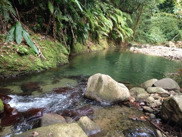 35 Acres of Land for Sale, Dominica — photo 1