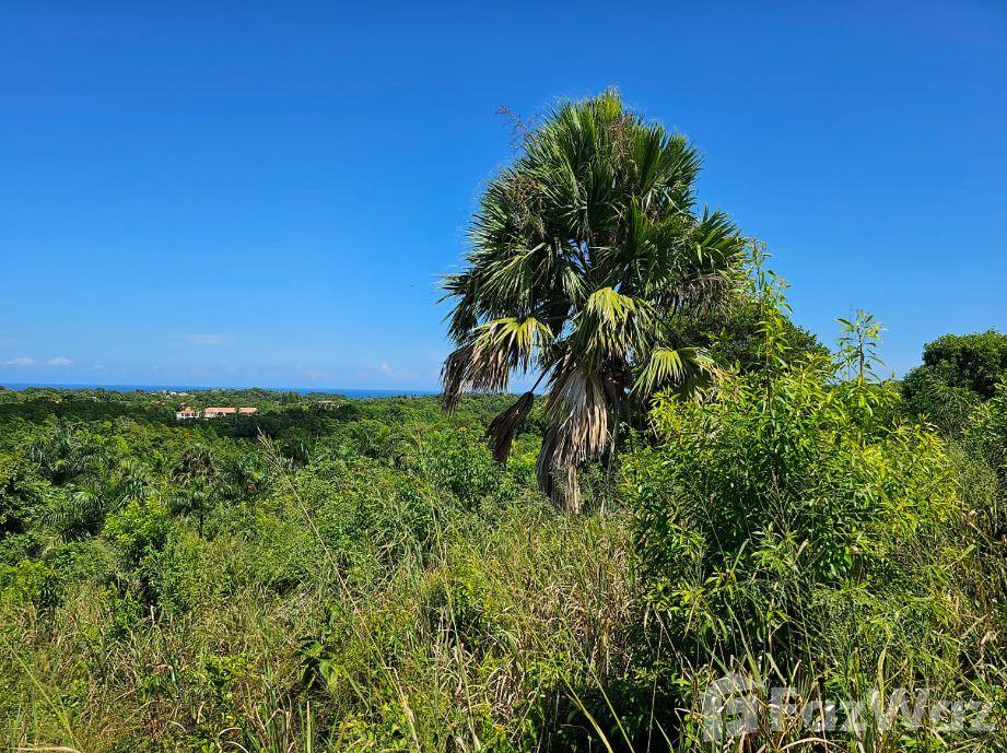 PANORAMA VILLAGE Amazing Ocean View LOT in Sosua, Puerto Plata, Dominican Republic — photo 1