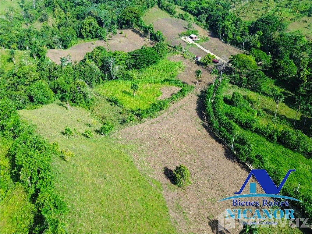 Cattle ranch for sale in Puerto Plata, 278 tareas — photo 2