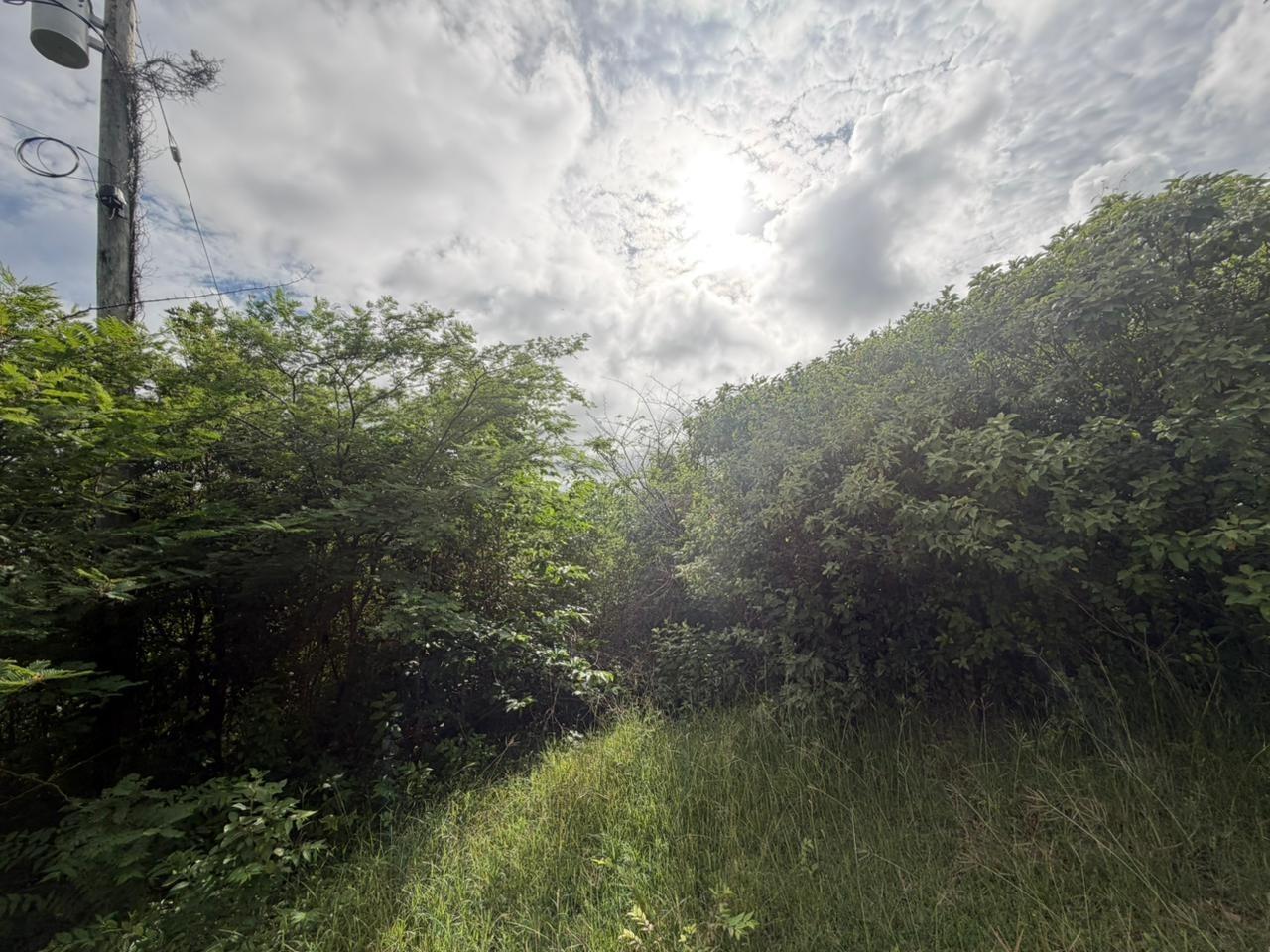 0.68 Acre Lot in George’s North Side, Tortola — photo 1