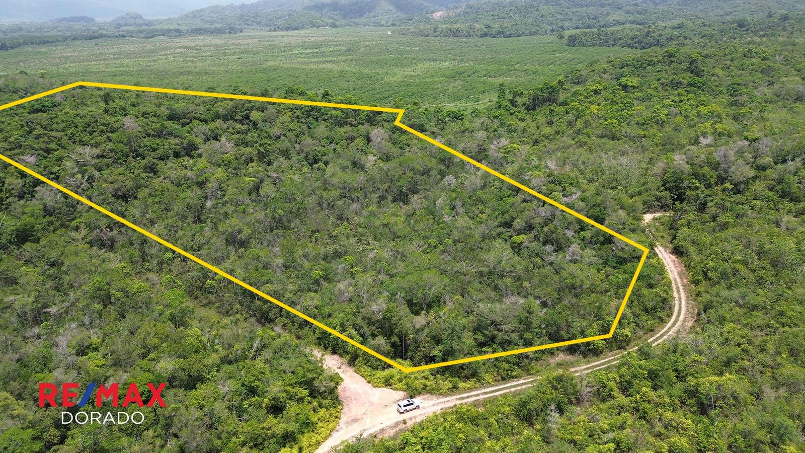 Prime 19.16-Acre Property for Sale — photo 4