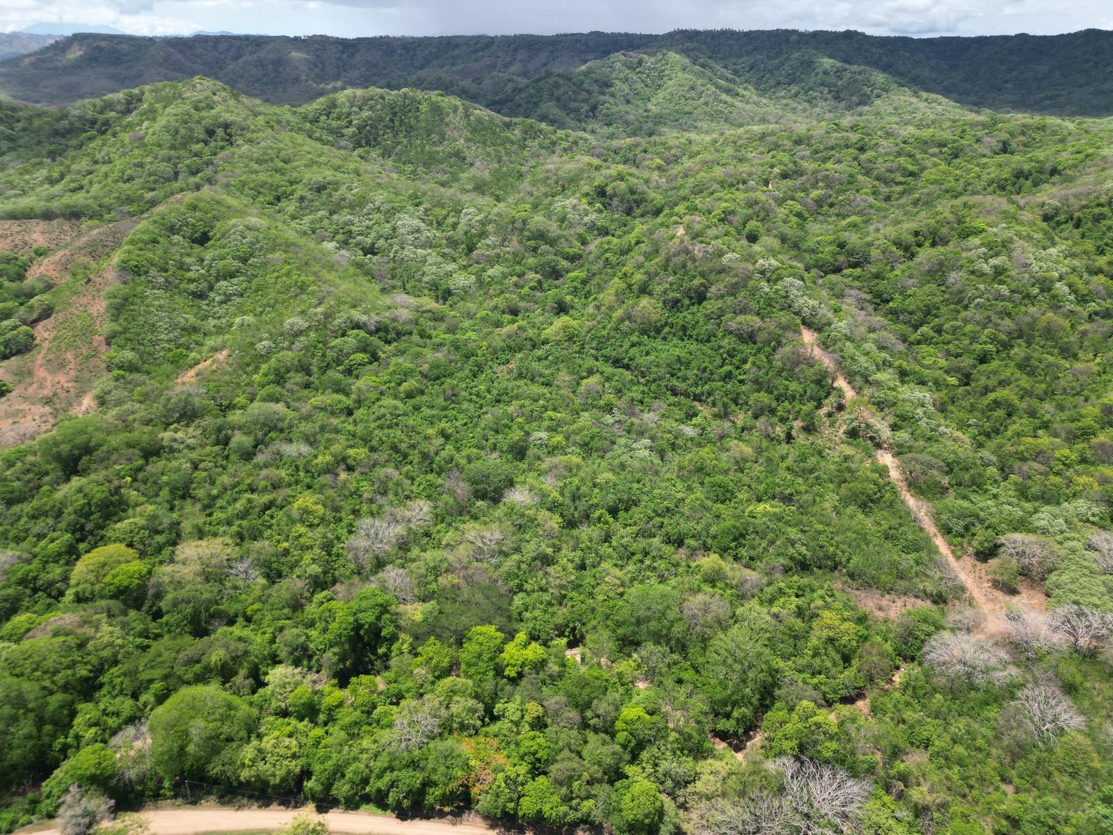 85 Hectares of Land for Sale, La Cruz, Papagayo, Guanacaste, Costa Rica — photo 5