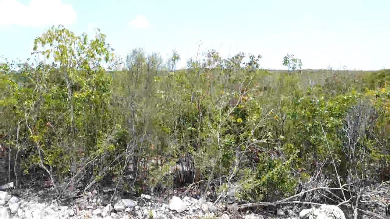 Stamers Park - 2.08 Acre Parcel — photo 4