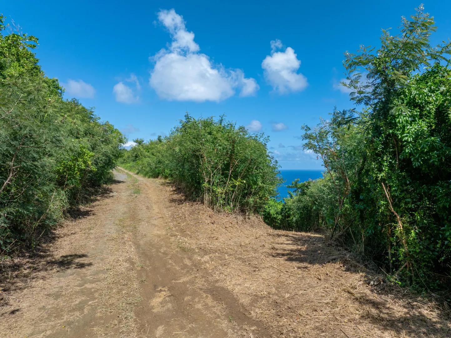5.79 Acre Lot with Ocean and Hillside Views — photo 2