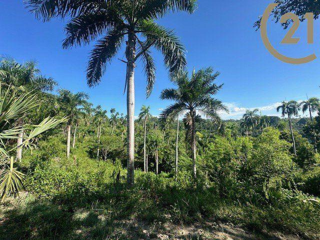 Oceanview Potential Development Lot in Lomas de los Chivos, Sosúa — photo 4