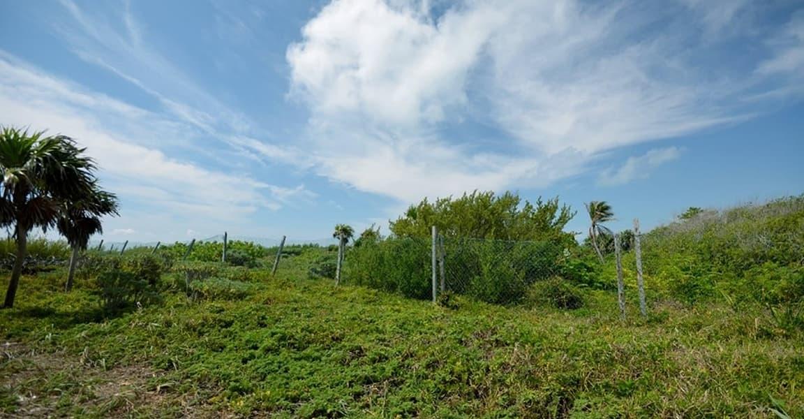 0.48 Acres of Beachfront Land for Sale, Puerto Morelos, Quintana Roo, Mexico — photo 5