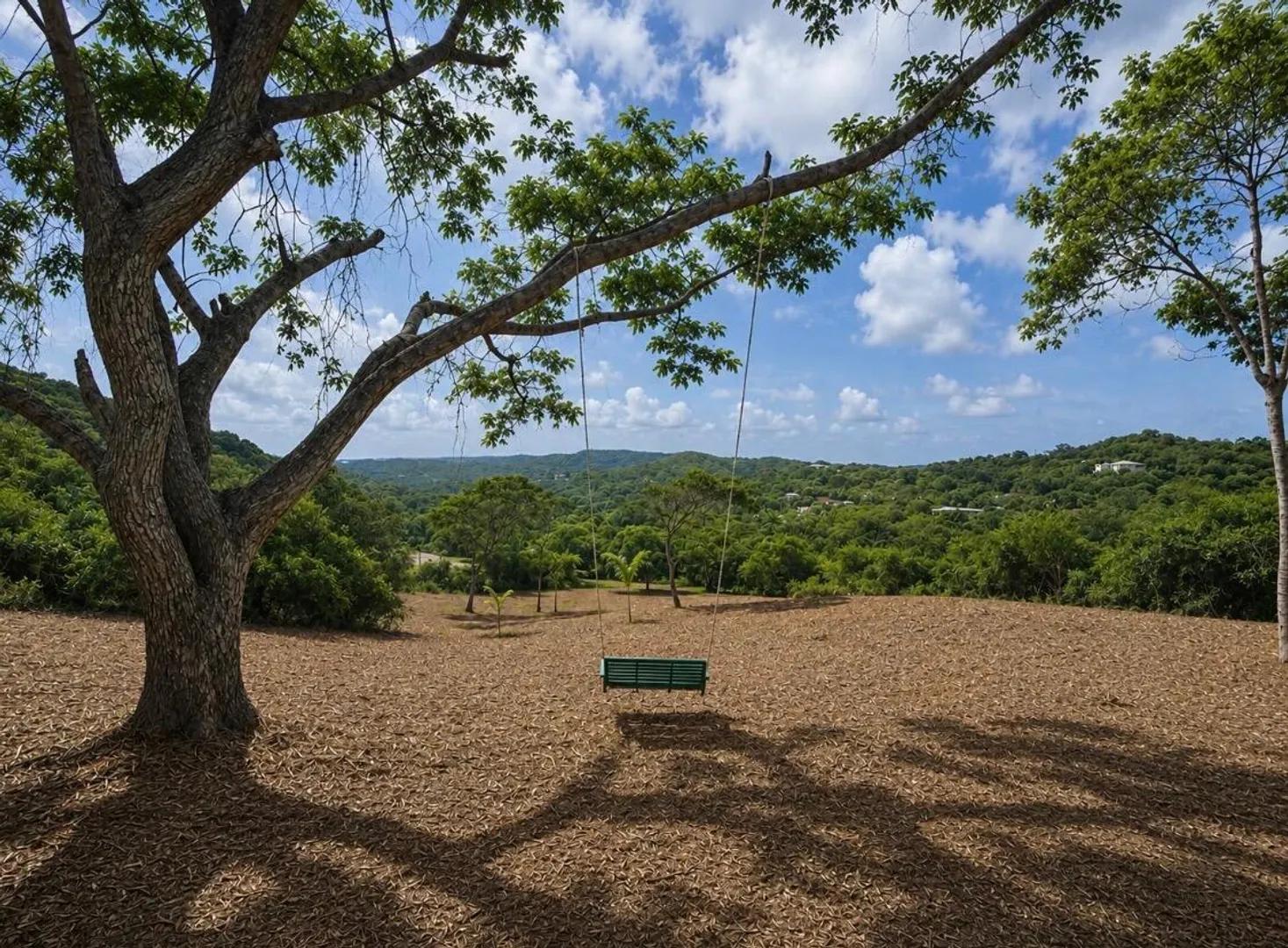 2.06 Acre Lot in St. Croix Rain Forest — photo 2