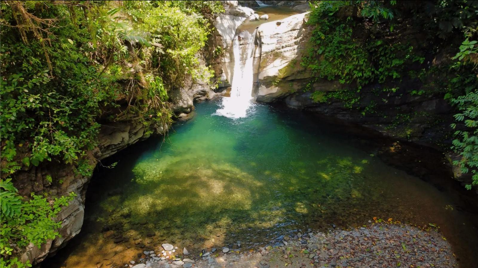 20 Acres of Prime Forest Land for Sale, Uvita, Puntarenas, Costa Rica — photo 4