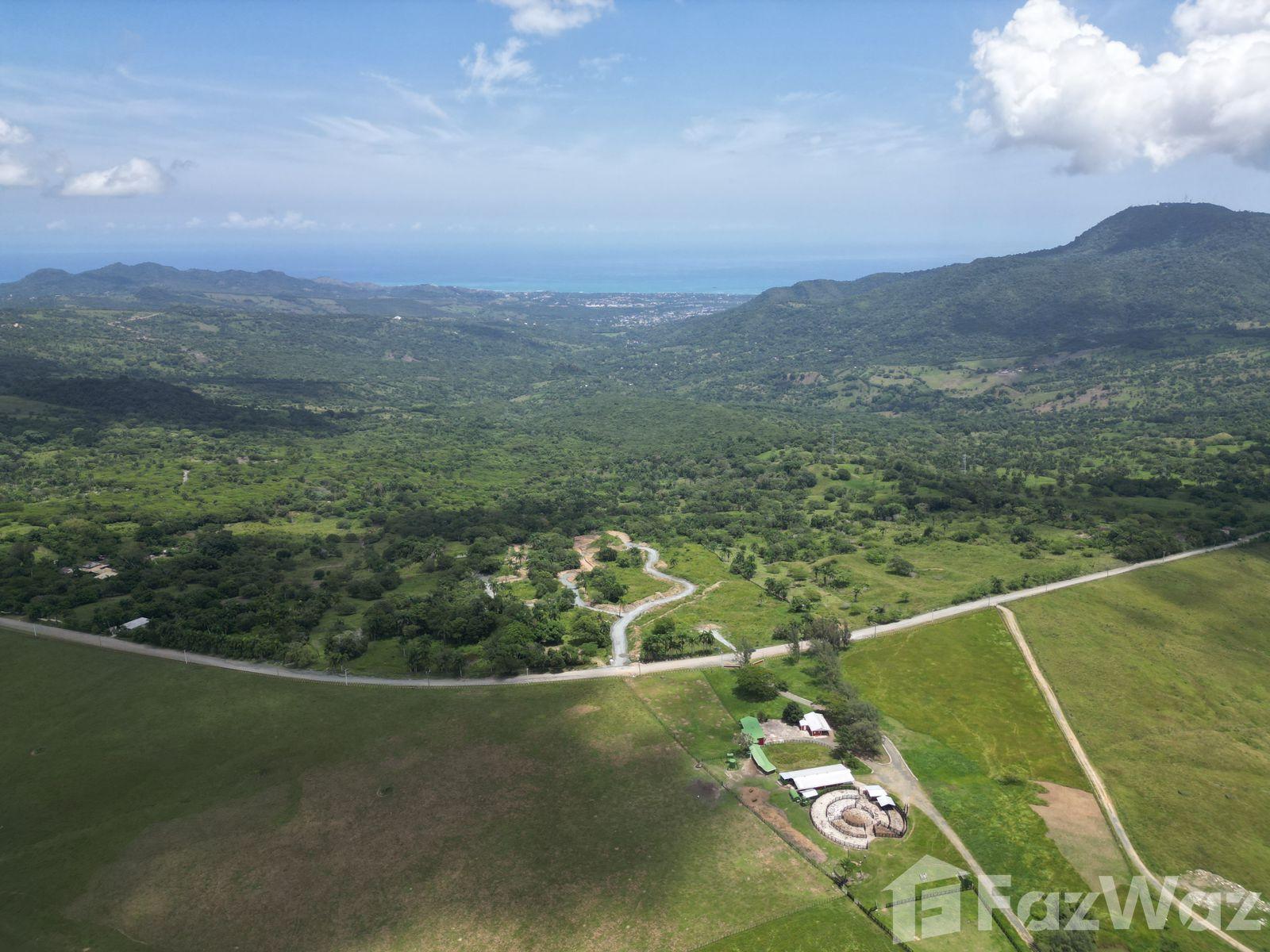 Country Side Building Lots Beautiful Mountain Views L5887SDC — photo 5