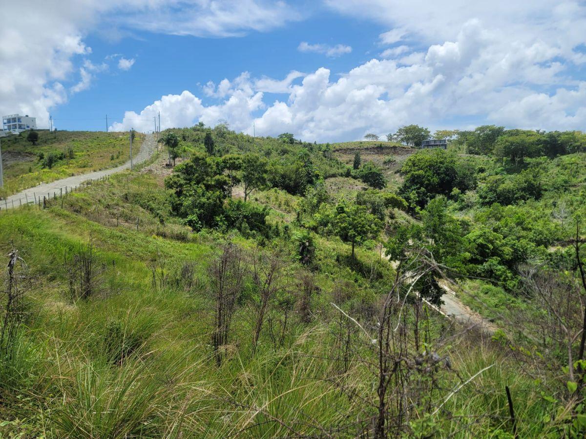 Terreno en venta con vista al mar en Gaspar Hernández — photo 5