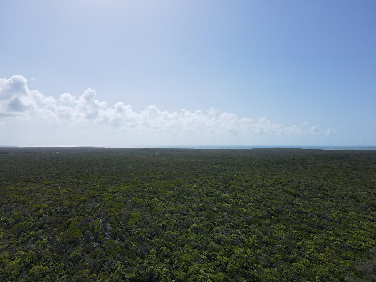 120 Acres Doctor's Creek — photo 3
