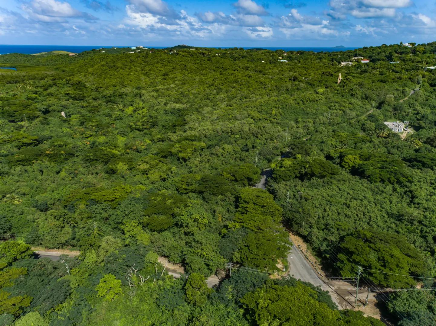 2.65 Acre Lot — photo 2
