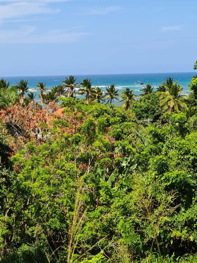 Ocean View Lot on Slope at Highest Street, Puerto Plata — photo 3