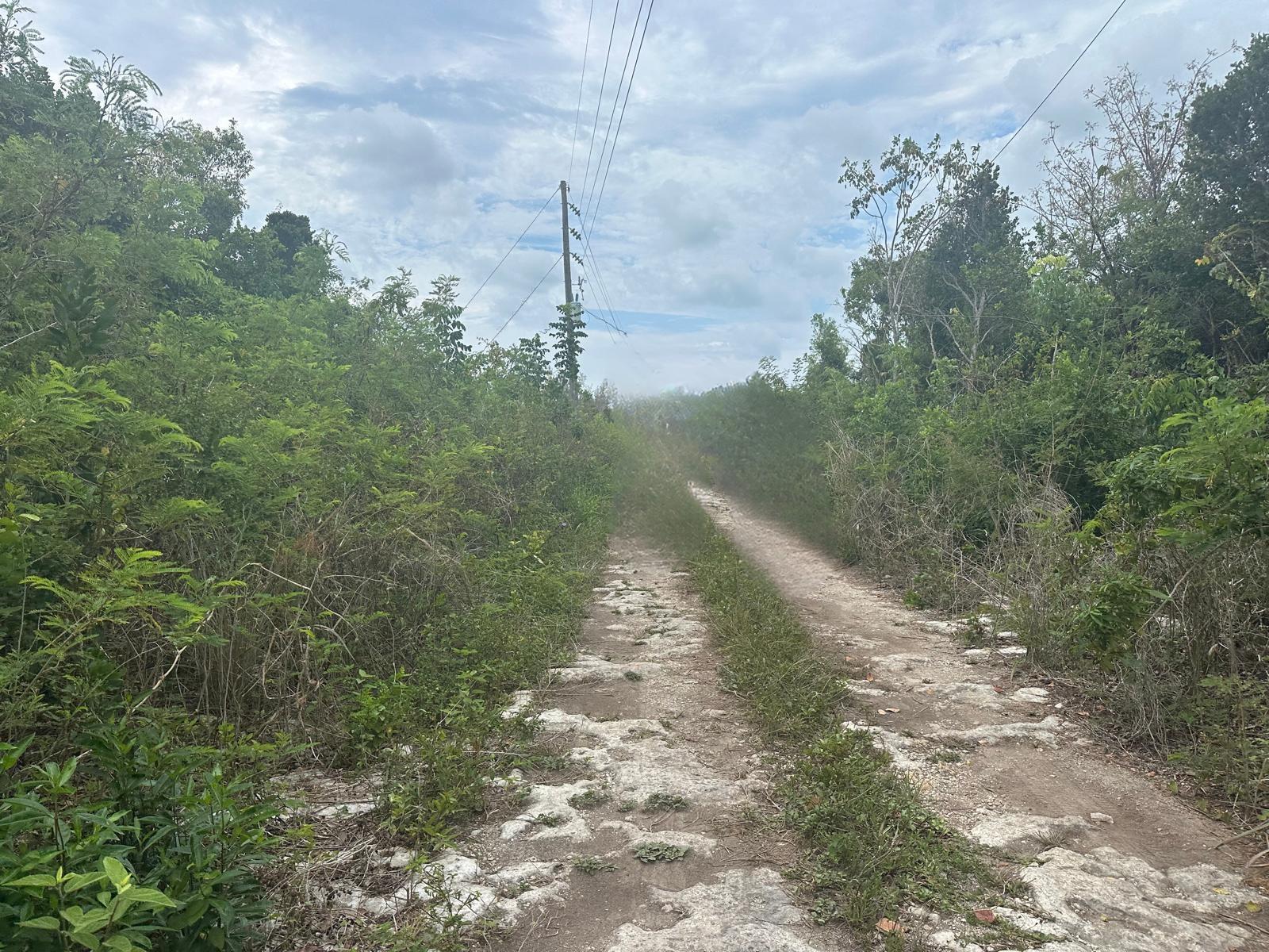4 BULLARD’S TARPUM BAY in Eleuthera, The Bahamas — photo 4