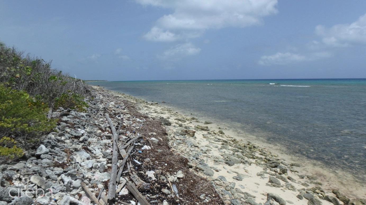 Little Cayman North Side Ocean Front Land — photo 2