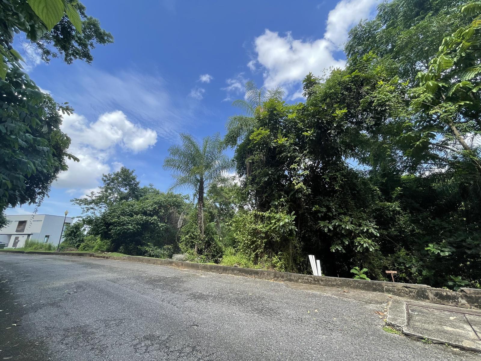 Lot 24 Wellsprings Cascade — photo 4
