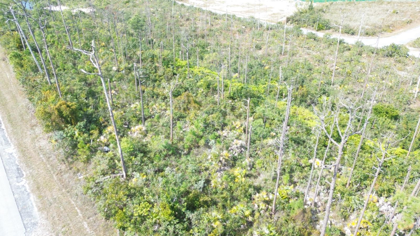 Bristol Bay Property With A View — photo 2