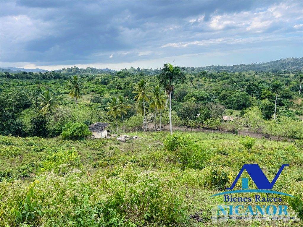 Cattle farm for sale, 2,300 tareas and up in San Felipe De Puerto Plata — photo 3