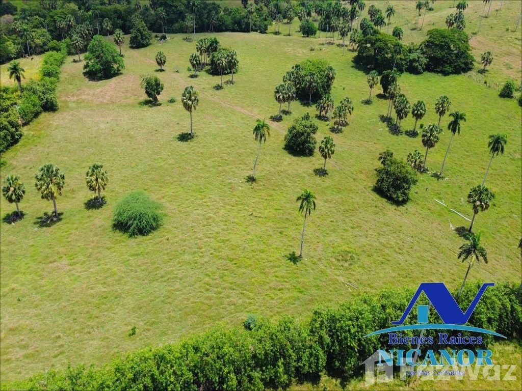 1,010 acre farm for sale in Imbert, Dominican Republic — photo 3