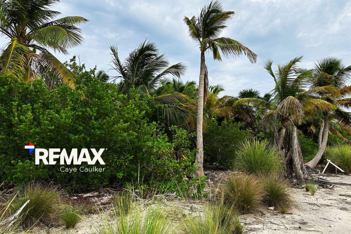 OCEANVIEW LOT NEAR BLISS BEACH — photo 3