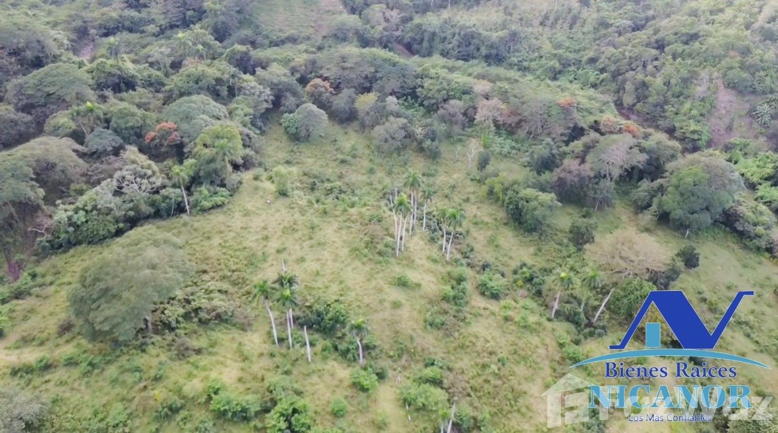 Cattle ranch for sale of 1,150 tareas in Guananico — photo 5