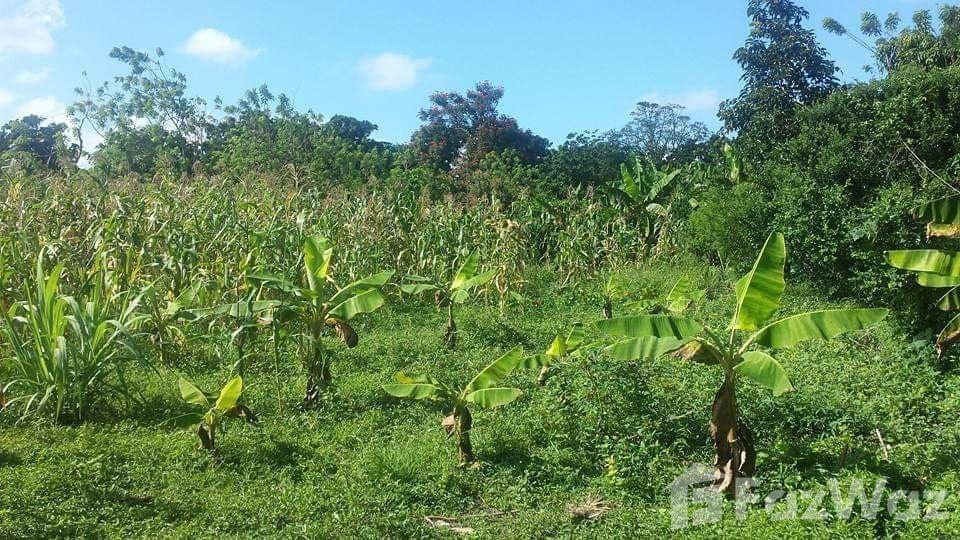 Land for Sale in Maimón – Ideal for a Tourism Project — photo 4