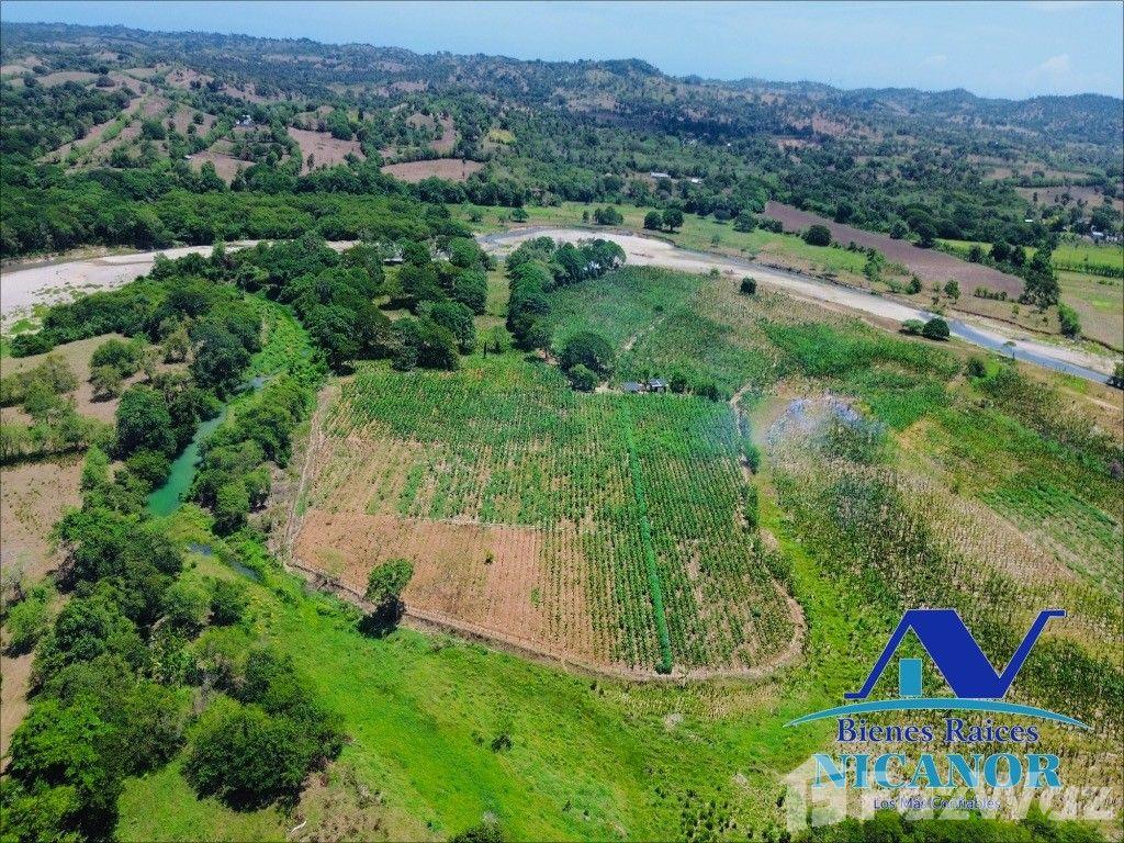 Banana plantation farm for sale in Imbert — photo 2