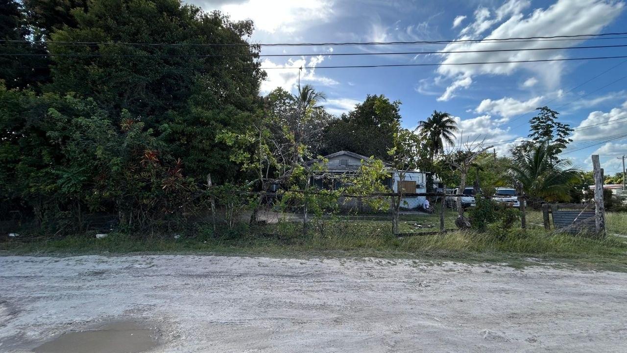 Listing 3003 - Corner Lot Fixer-Upper with Two Structures – Carmelita Village, Orange Walk District — photo 4