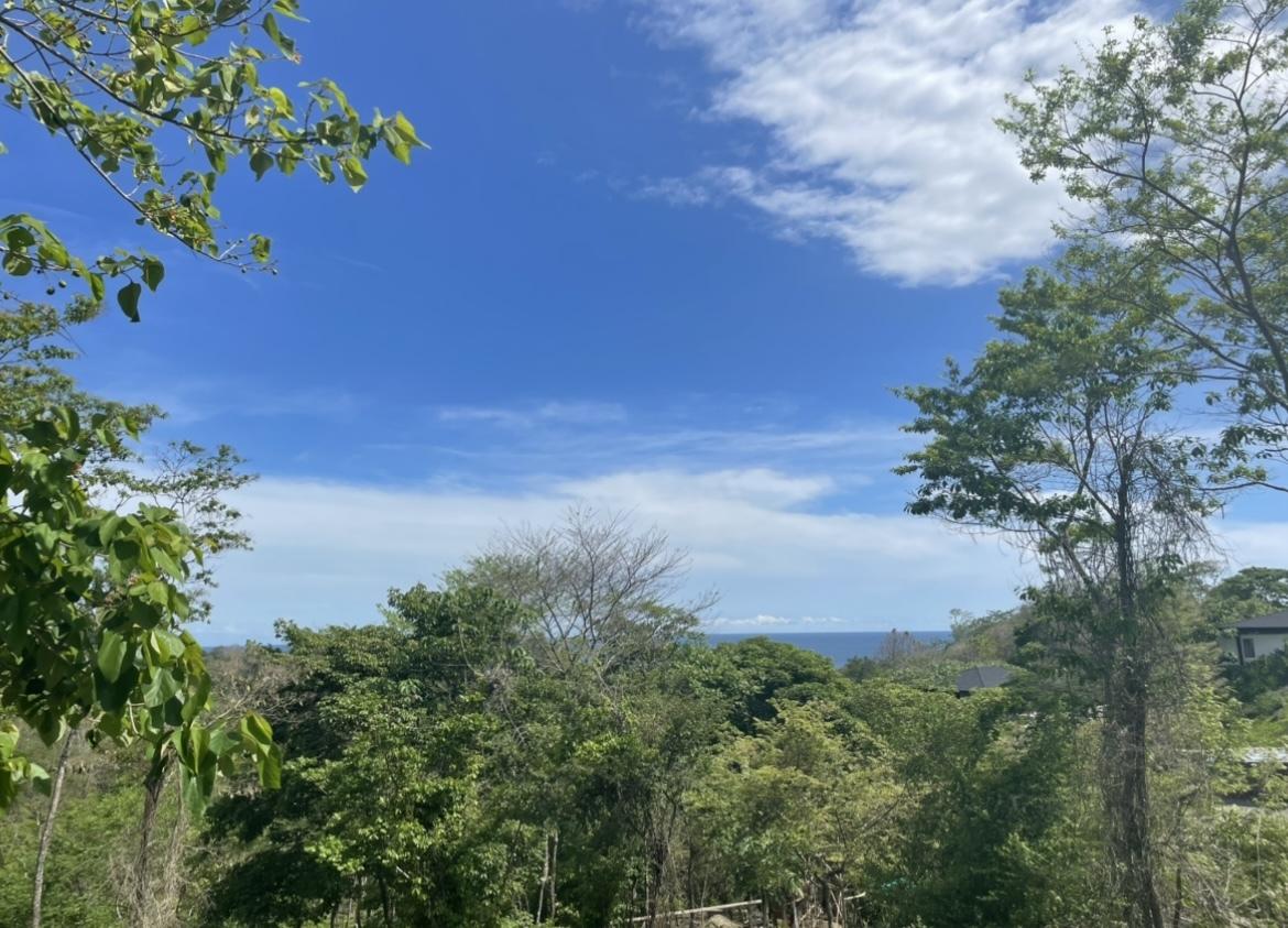 0.69 Hectare Ocean-View Commercial Lot for Sale — photo 2