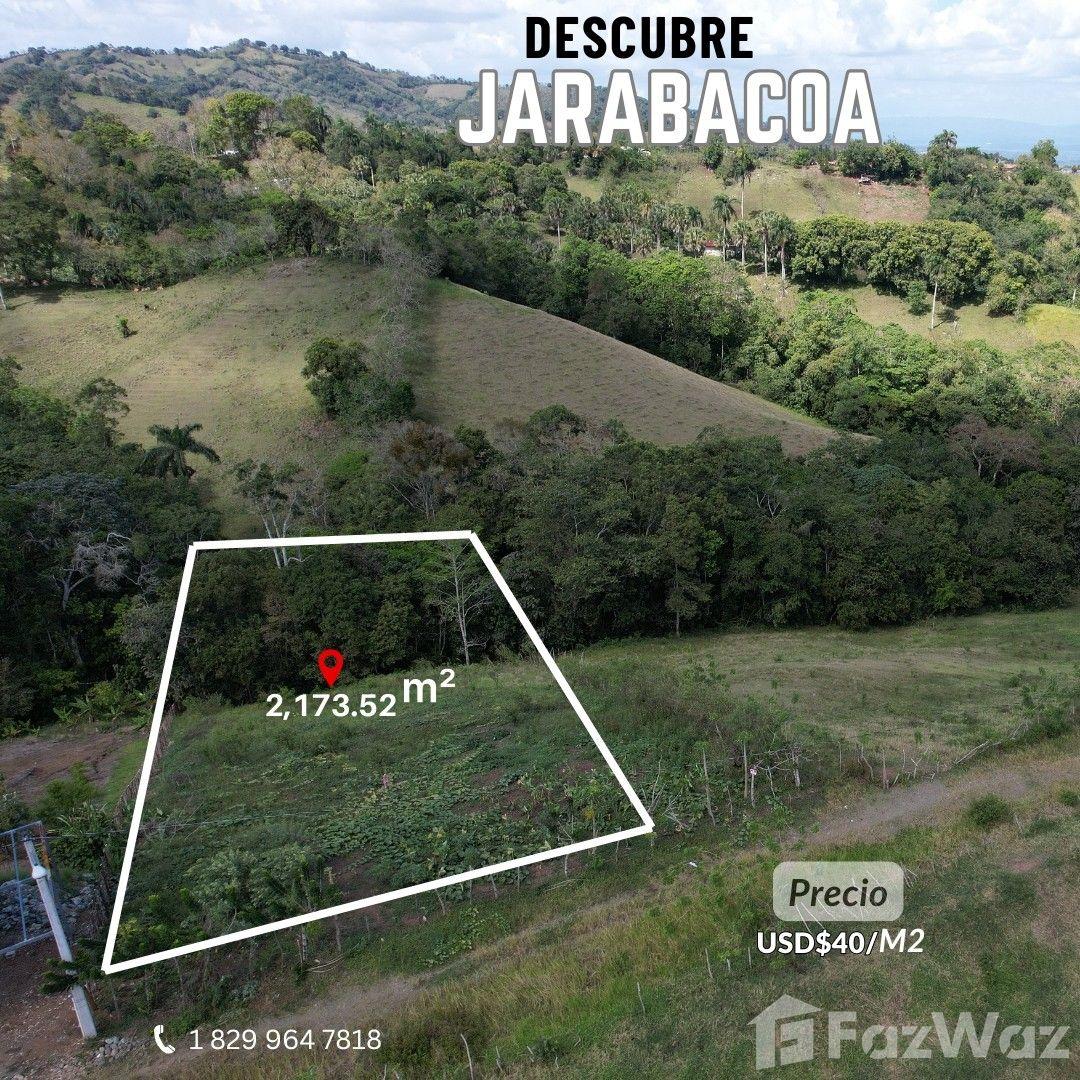 Vega for sale in Jarabacoa, La Vega — photo 2