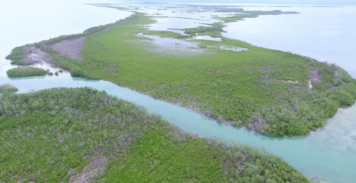 1.44 Acres Beach/Lagoon Frontage in Sarteneja, Belize — photo 5