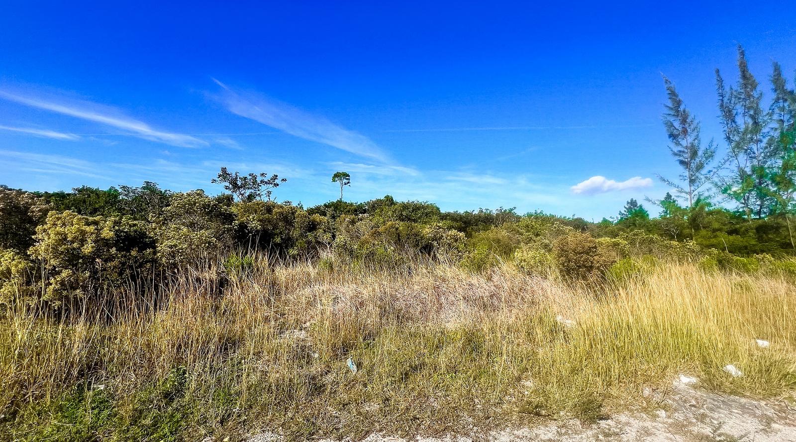 Vacant Land for Sale - Lot A, South Ocean Acreage, Bahamas — photo 2