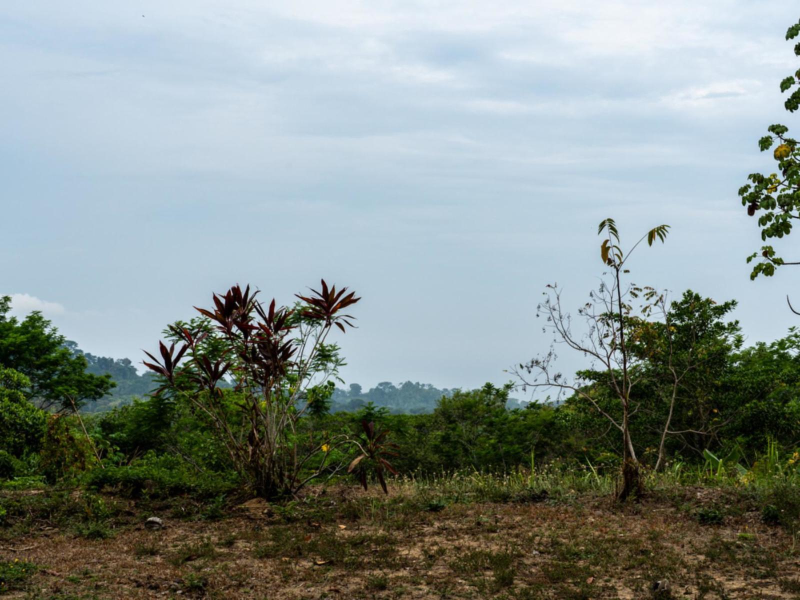 33.23 Acres of Land for Sale in Lagunas, Dominical, Puntarenas, Costa Rica — photo 5