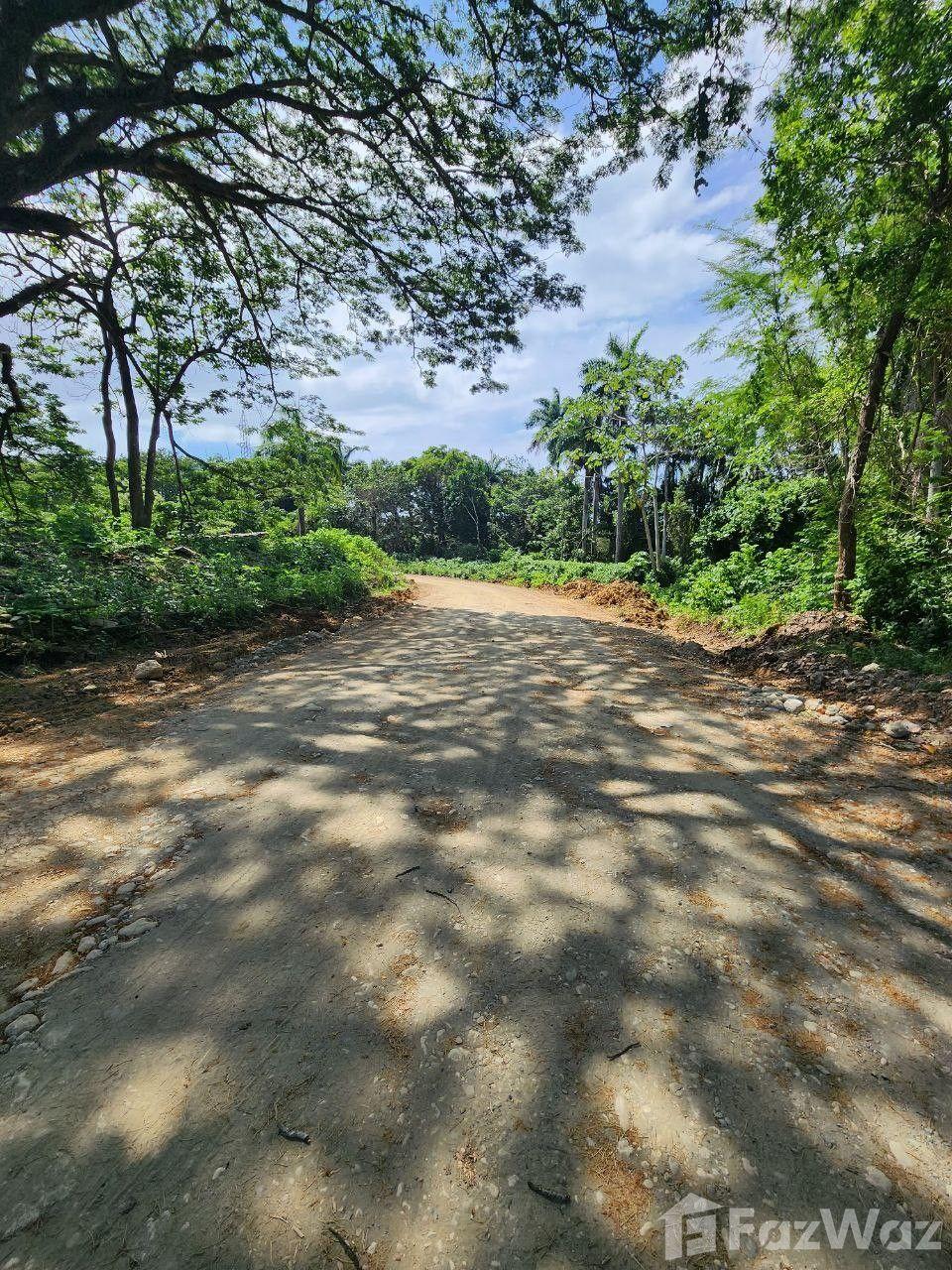 Land for sale in Muñoz, Puerto Plata — photo 3